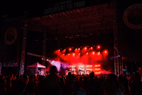 Public festival bras levés